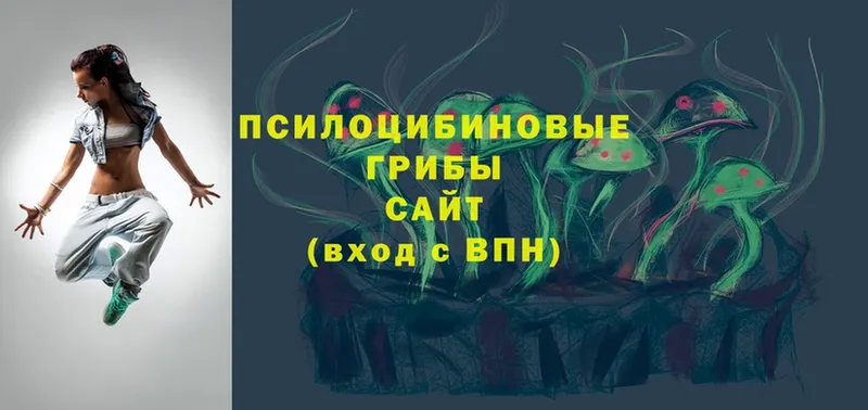 Псилоцибиновые грибы мицелий  Кимовск 